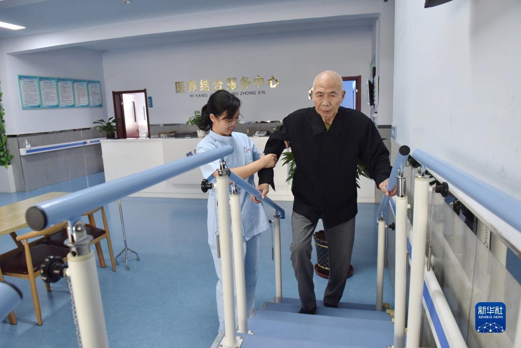 新京葡官网